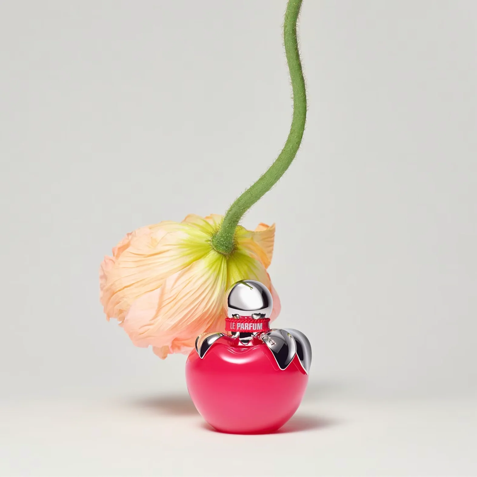 Miniature 5