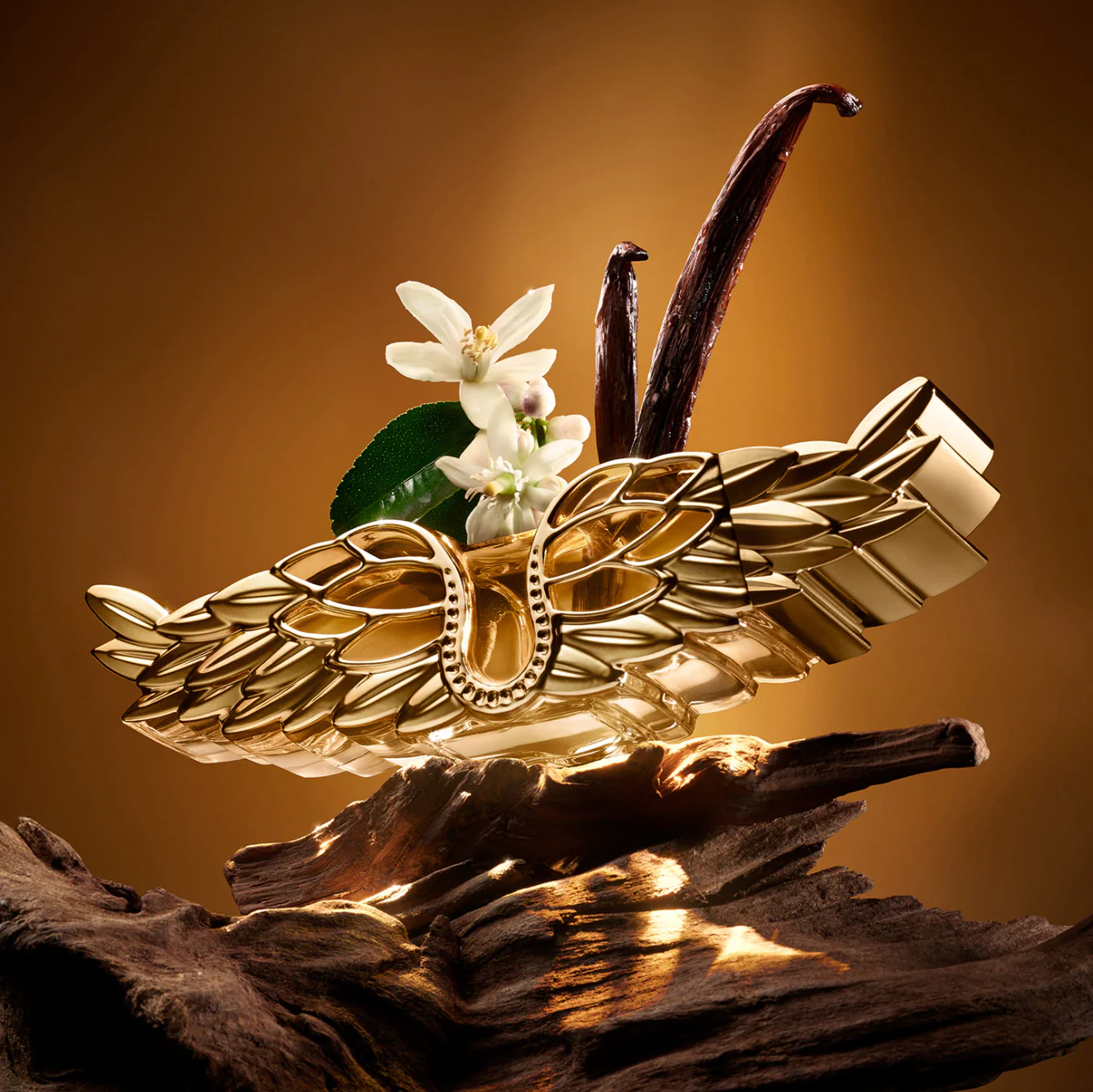 Miniature 5